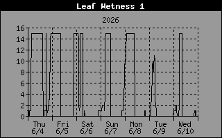 Leaf Wetness